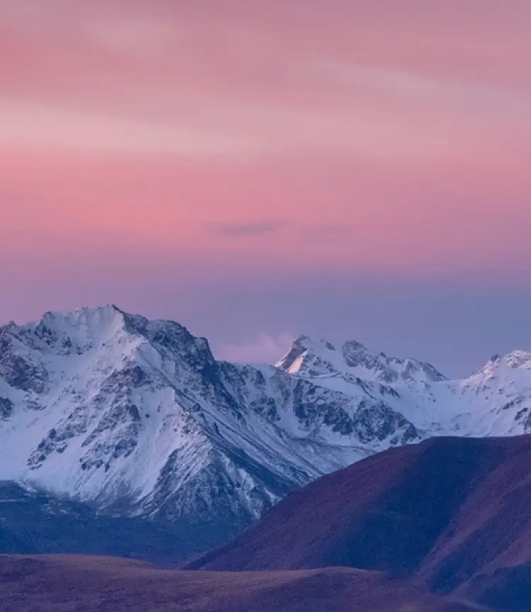 Michelle Testing Paid Resources and the files